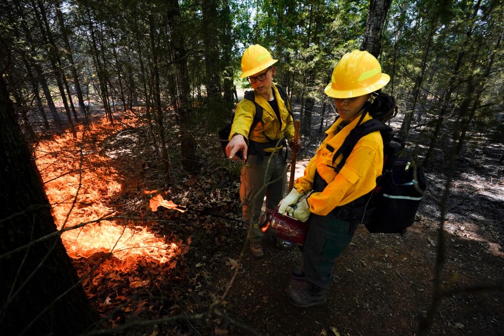 Instructor Ben McLane, left, helps teach Kerstin Joseph, right, as they start a prescribed fire during a wildland firefighter training Friday, June 9, 2023, in Hazel Green, Ala. A partnership between the U.S. Forest Service and four historically Black colleges and universities is opening the eyes of students of color who had never pictured themselves as fighting forest fires.
