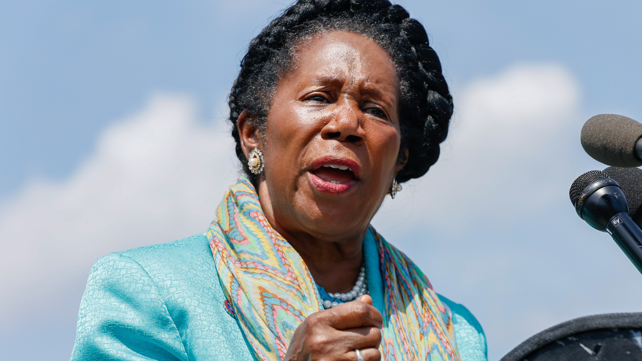 Special election to fill vacant Texas congressional seat ...